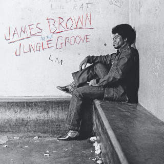 James Brown / In The Jungle Groove